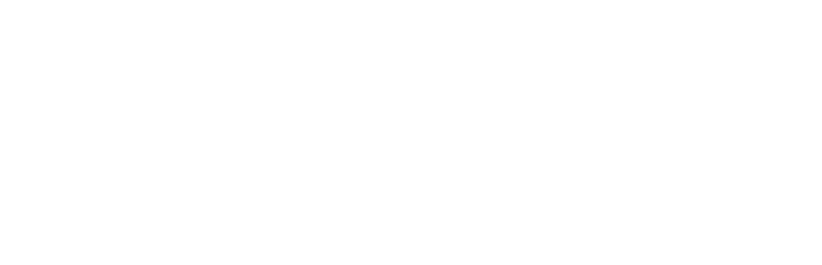 Steam